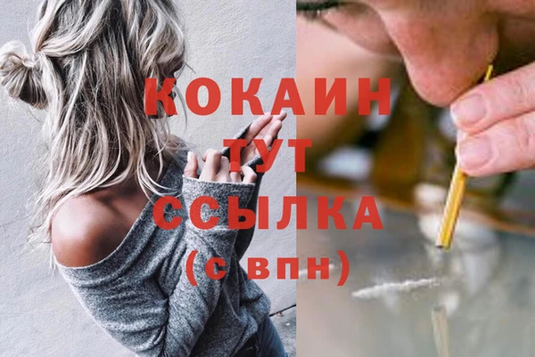 spice Михайлов
