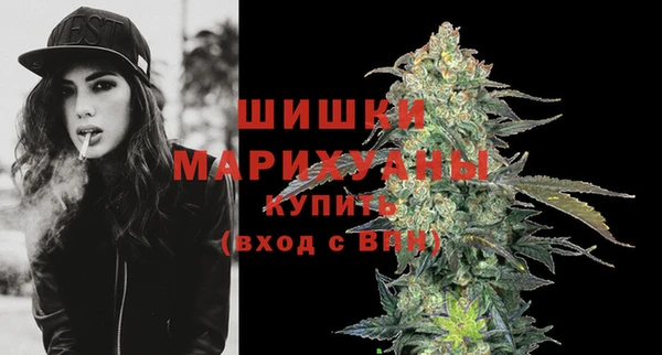 ПСИЛОЦИБИНОВЫЕ ГРИБЫ Михайловск