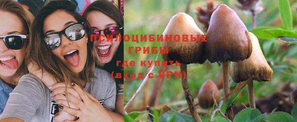 ПСИЛОЦИБИНОВЫЕ ГРИБЫ Михайловск