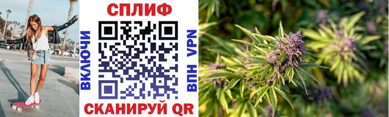 площадка какой сайт  Юрьевец  Каннабис семена  omg ссылка 